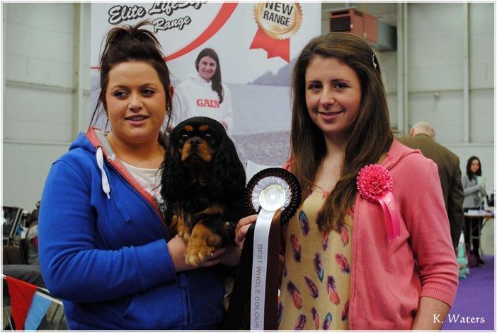 Best Wholecolour - Orinoco Miss Mitch
