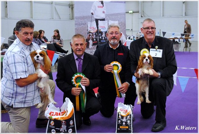 Pup of the Year - Chantismere Celtic Dancer at Byrmin Jun Ch & Reserve - Orinoco Taylor Made for Moorfields